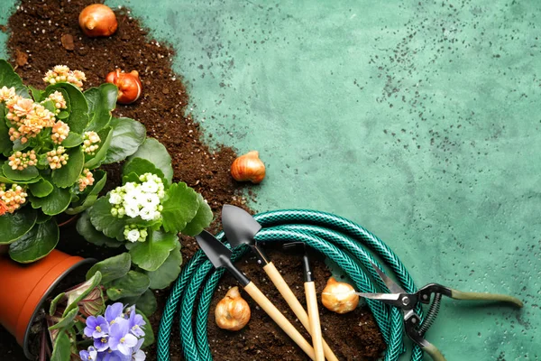 Set of gardening supplies on color background — Stock Photo, Image