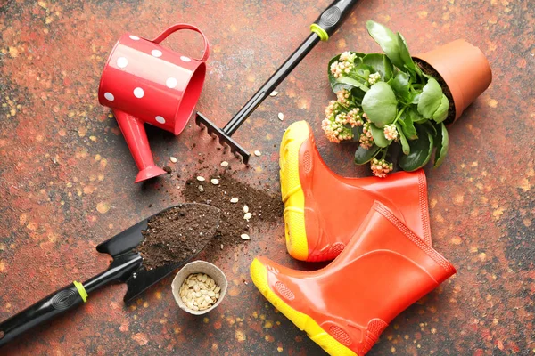 Set of gardening supplies on grunge background — Stock Photo, Image