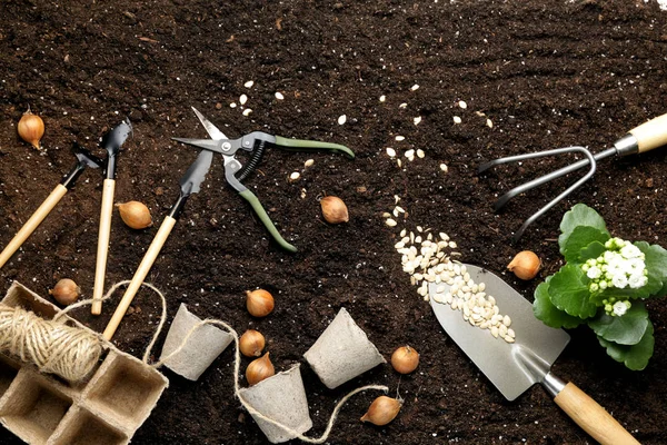 Set of gardening supplies on soil — Stock Photo, Image