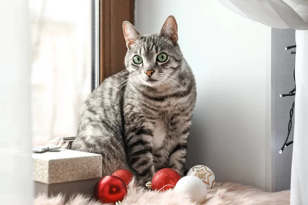 Cute funny cat with Christmas gift and decor on window sill — Stock Photo, Image