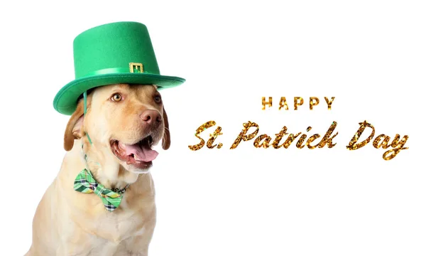 Leuke hond met groene hoed en tekst Happy St. Patrick 's Day op witte achtergrond — Stockfoto
