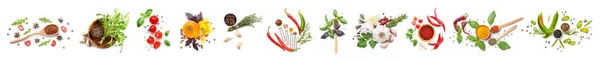 Diferentes especias frescas, hierbas y verduras sobre fondo blanco —  Fotos de Stock
