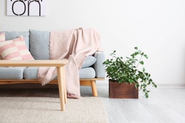 Rahat kanepesi olan modern bir oda.