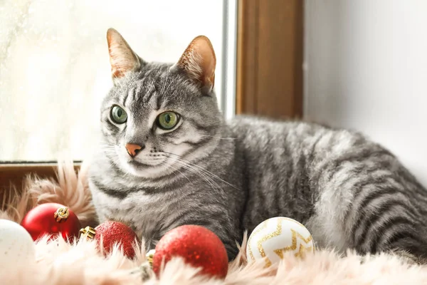 Cute funny cat with Christmas decor on window sill — Stock Photo, Image