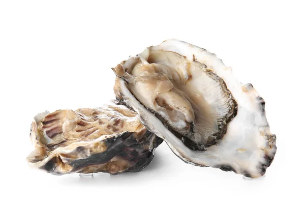 Tasty oysters on white background — Stock Photo, Image