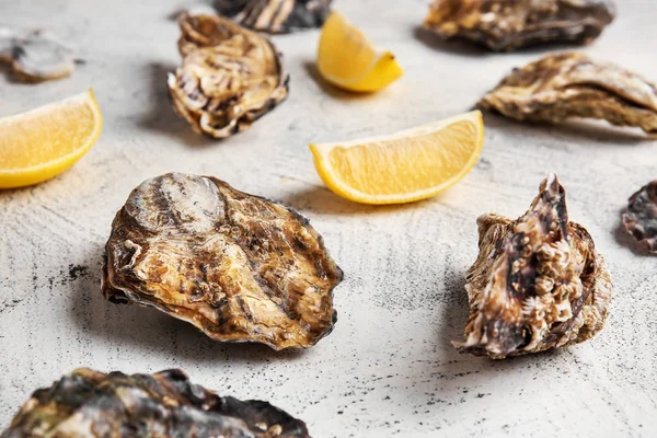 Tasty oysters with lemon on white background — Stock Photo, Image