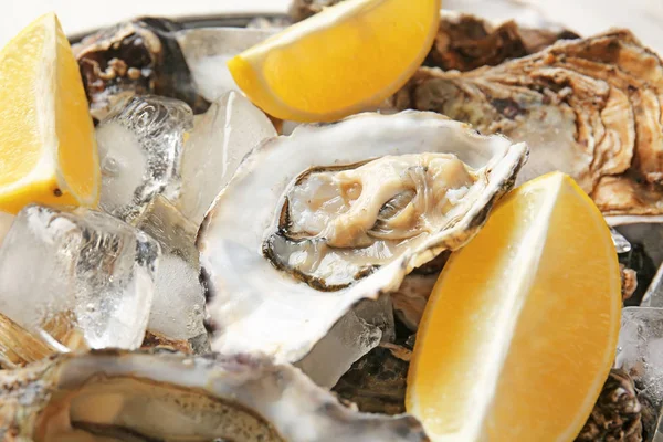 Tasty cold oysters with lemon, closeup — Stock Photo, Image