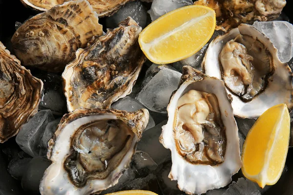 Gustose ostriche fredde con limone, primo piano — Foto Stock