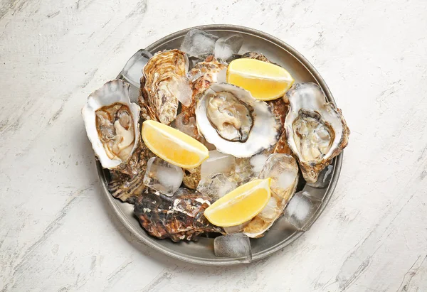 Plate with tasty cold oysters on white background — Stock Photo, Image