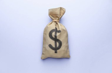 Renk arkaplanı üzerinde para olan çanta