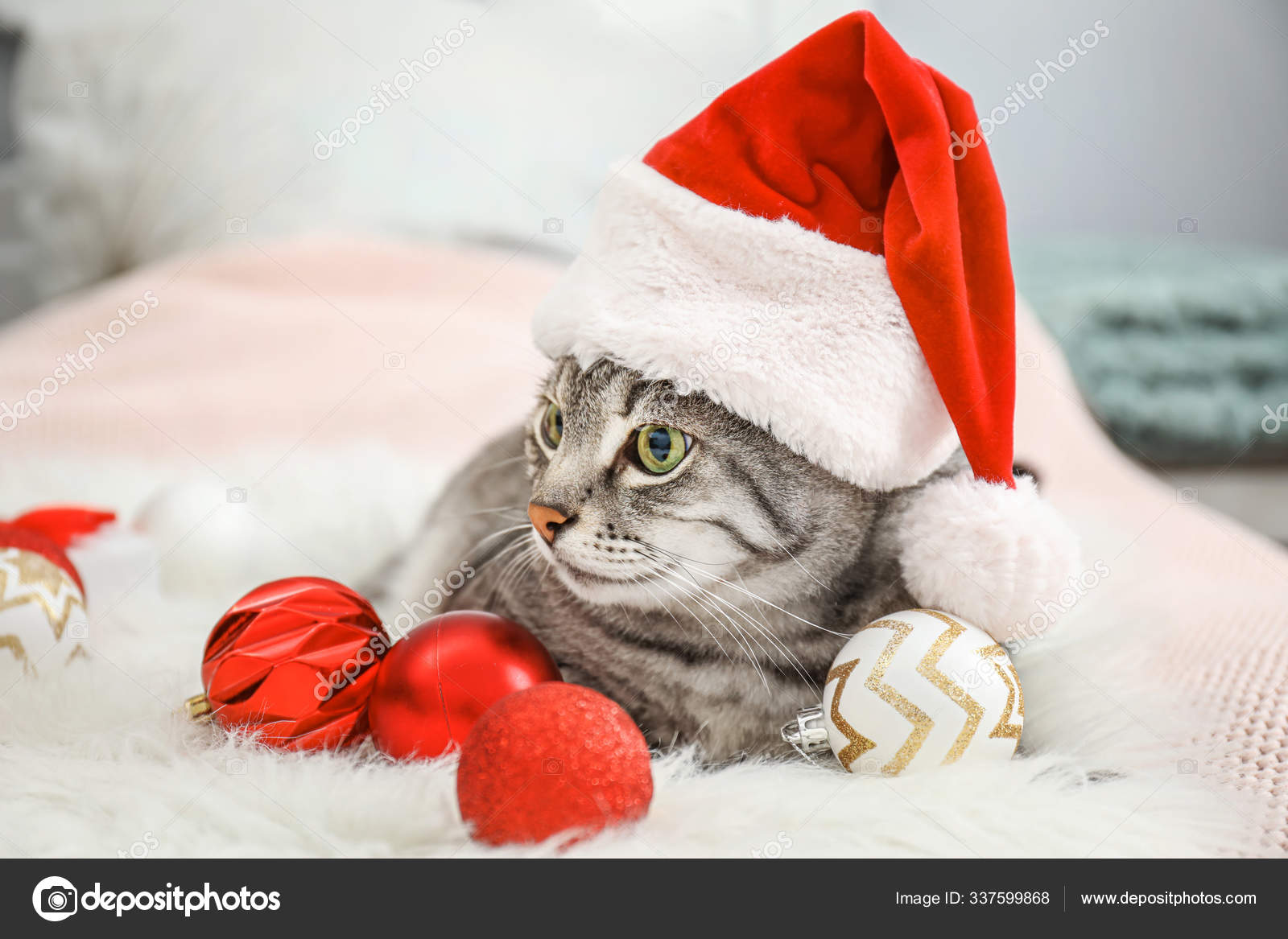 santa hat cat bed