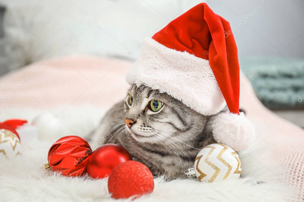 Cute cat in Santa hat and with Christmas decor on bed