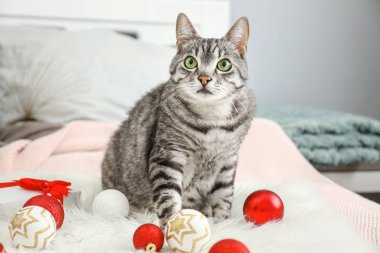 Cute cat with Christmas decor on bed