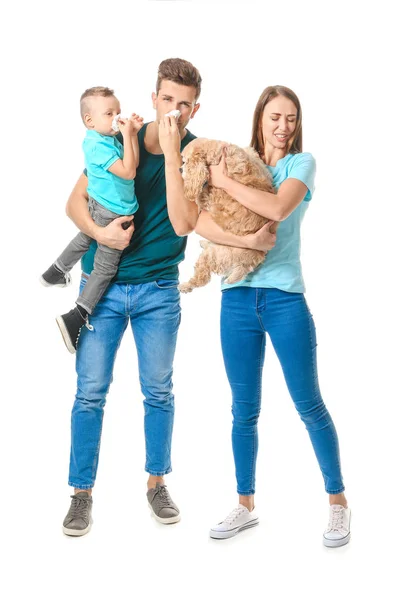 Family with pet allergy on white background — 스톡 사진