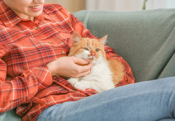 Belle jeune femme avec chat mignon assis sur le canapé à la maison — Photo
