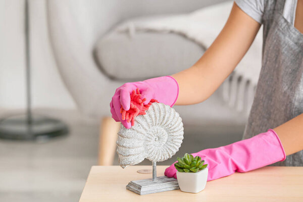 Young woman cleaning her flat