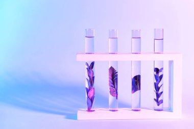 Test tubes with plants on color background