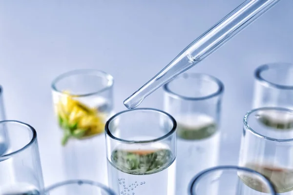 Glass dropper and test tubes with plants, closeup — ストック写真