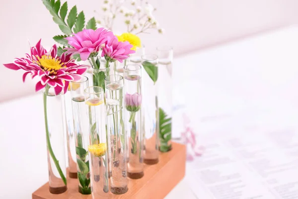 Test tubes with plants on table — Stock Photo, Image