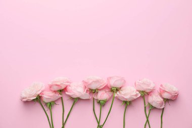 pembe bir arka plan üzerine güzel çiçekler