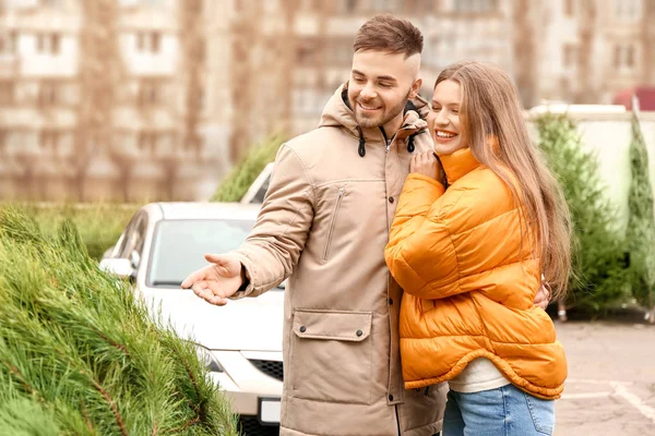 Pareja joven comprando árbol de Navidad en el mercado — Foto de Stock