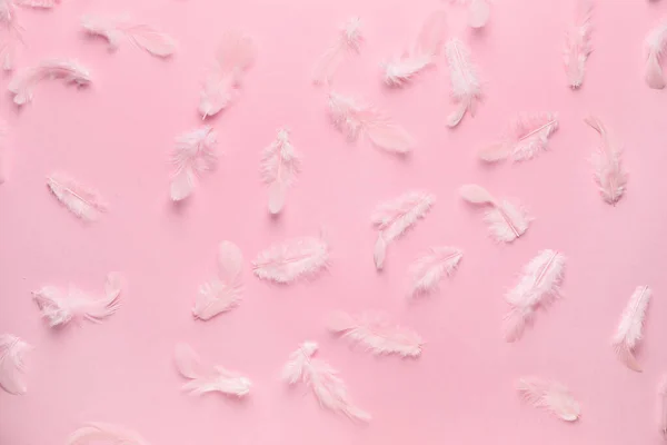 Πολλά φτερά σε ροζ φόντο — Φωτογραφία Αρχείου