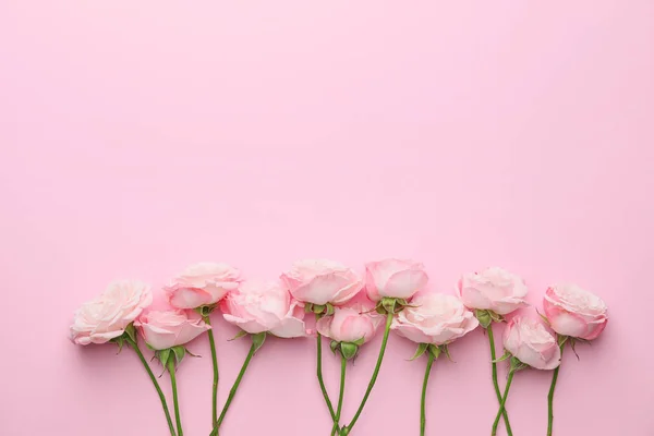 Beautiful flowers on pink background — Stock Photo, Image