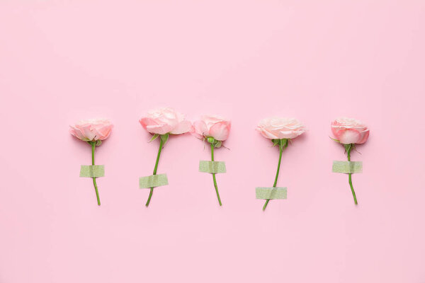 Красивые цветы на розовом фоне
