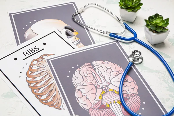 Stetoskop z rysunkami ludzkiej czaszki, żeber i mózgu na białym tle — Zdjęcie stockowe