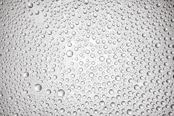 Gotas de água no fundo claro — Fotografia de Stock