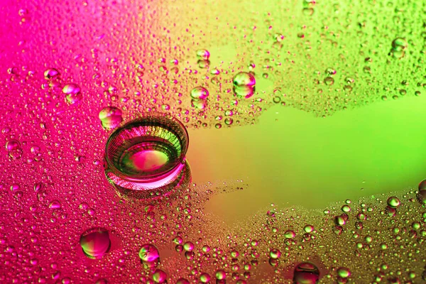 Contact lens on color background