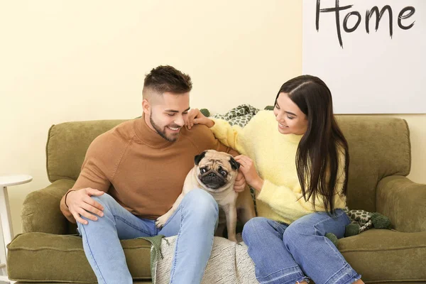 Young couple with dog sitting on sofa at home — Stock Photo, Image