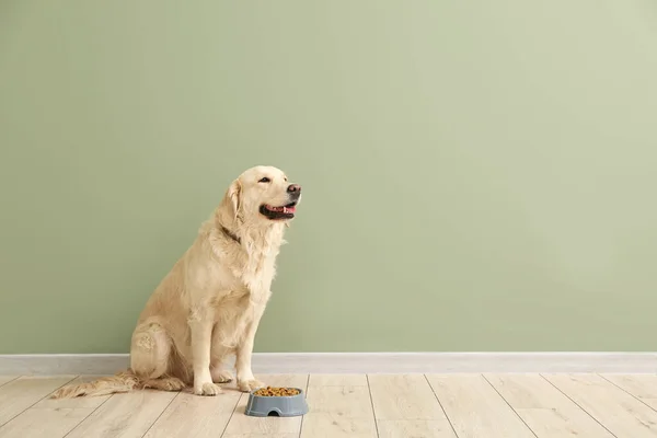 Lindo perro y tazón con comida cerca de la pared de color — Foto de Stock
