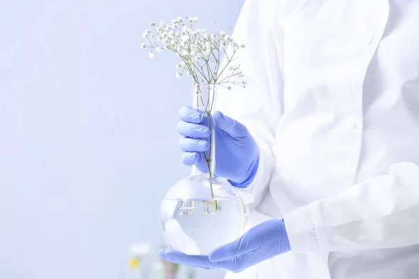 Scientist with flower sample on light background — Stock Photo, Image