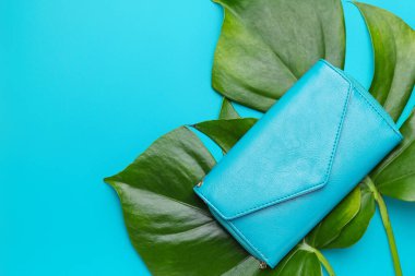 Renkli arka planda şık cüzdan