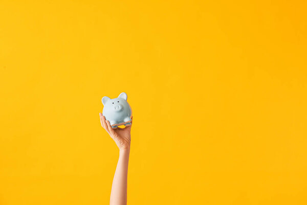 Female hand with piggy bank on color background