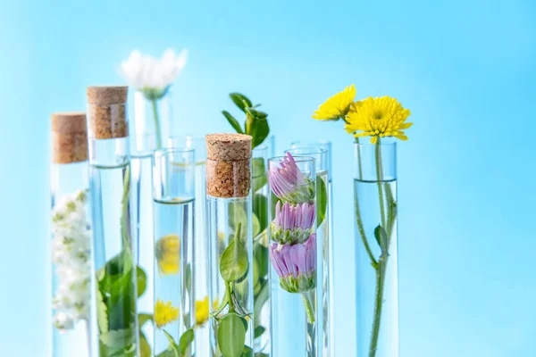 Tubos de ensayo con flores sobre fondo de color — Foto de Stock