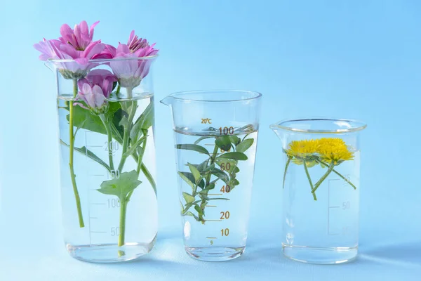Laboratóriumi üvegáru virágokkal színes háttér — Stock Fotó