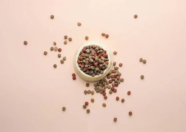 색 배경에 마른 애완 동물 음식을 담은 그릇 — 스톡 사진