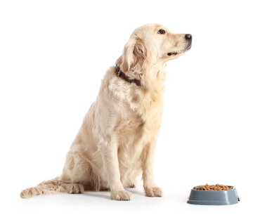 Beyaz arka planda yemek olan kasenin yanında sevimli bir köpek.