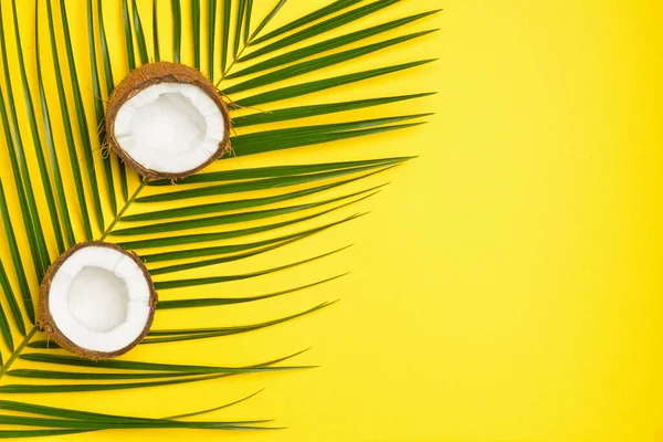 Ripe coconut and palm leaf on color background — Stock Photo, Image
