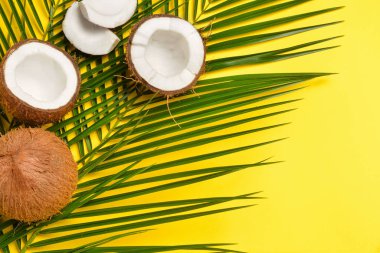 Renkli arkaplanda olgun hindistan cevizi ve palmiye yaprakları