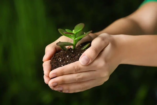 Female hands with plant on green background. Earth day celebration — Stock Photo, Image