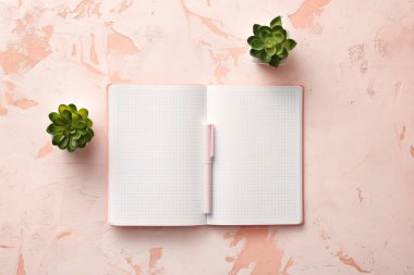 Notebook with pen and plants on white background