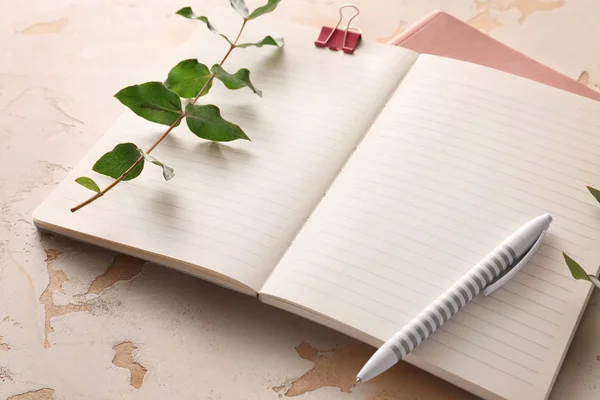 Ноутбуки с ручкой на белом фоне — стоковое фото