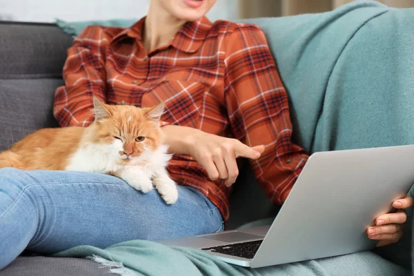 Молодая женщина с ноутбуком и симпатичной кошкой дома — стоковое фото