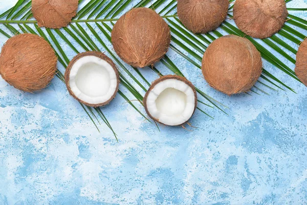 Cocos maduros e folha de palma no fundo de cor — Fotografia de Stock