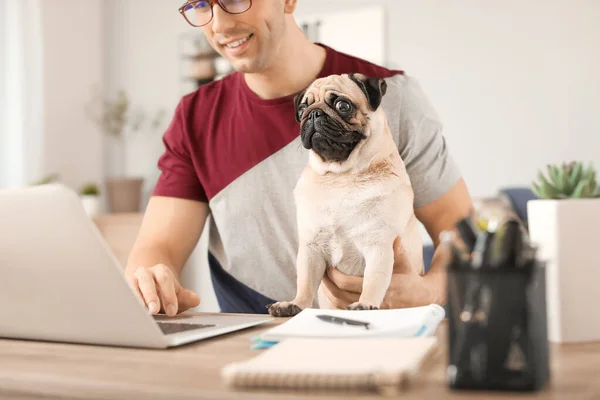 Hombre guapo con lindo perro pug y portátil en casa —  Fotos de Stock