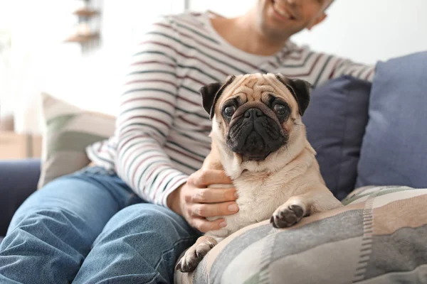 Handsome man with cute pug dog at home — Stock Photo, Image
