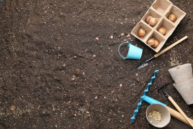 Topraktaki bahçıvanlık malzemeleri.